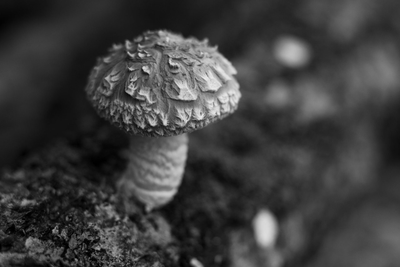 0022