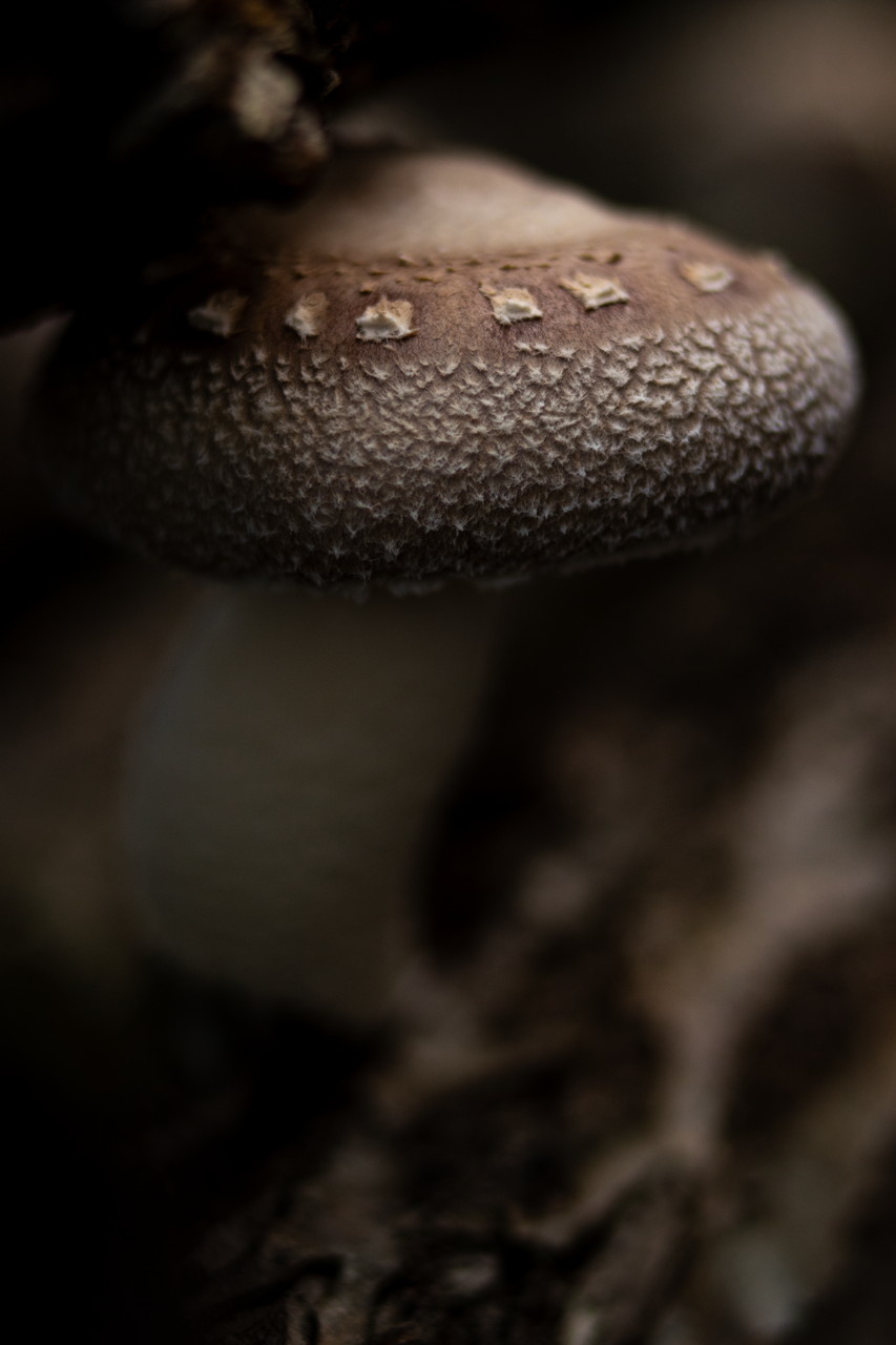 0064