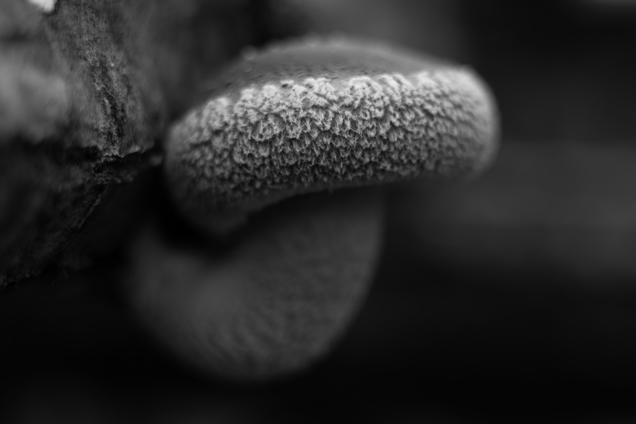 0077
