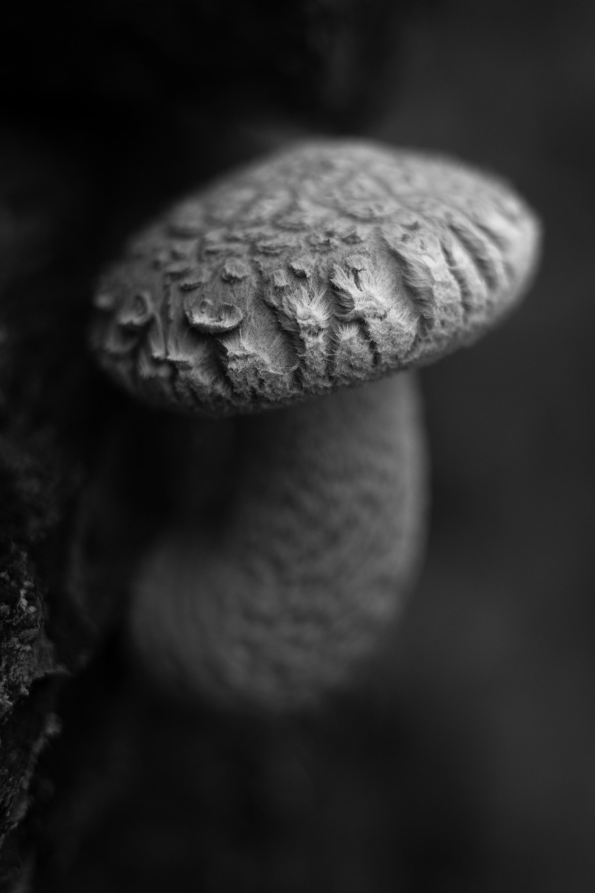 0095