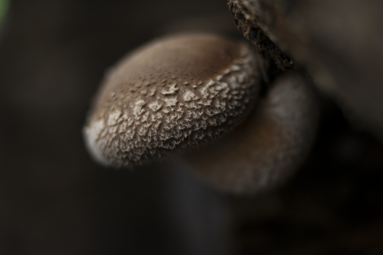 0117