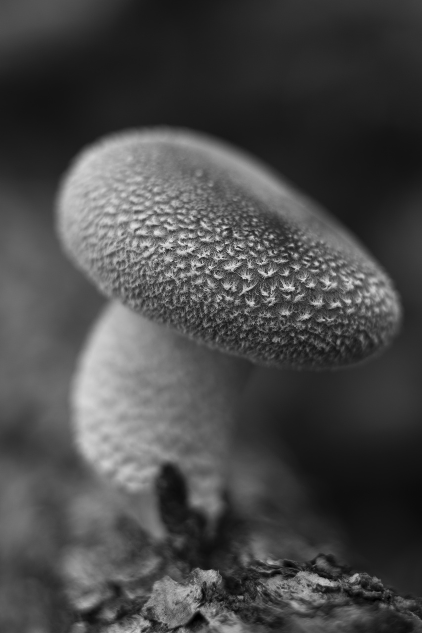 0121