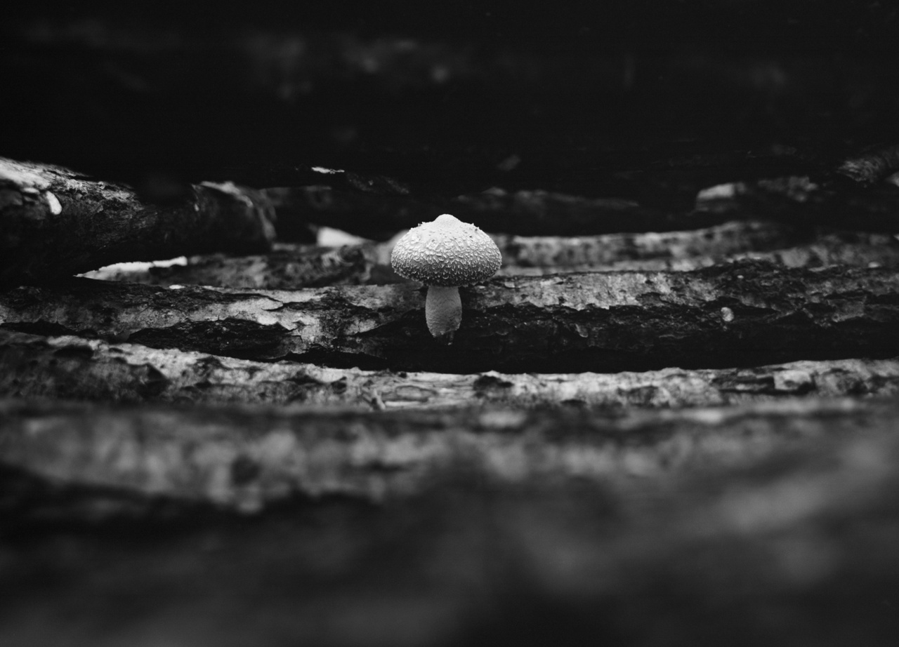 0123