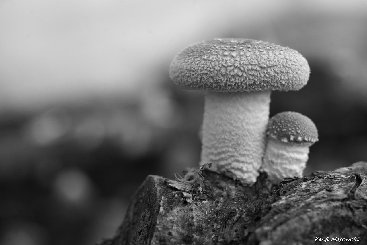 2802