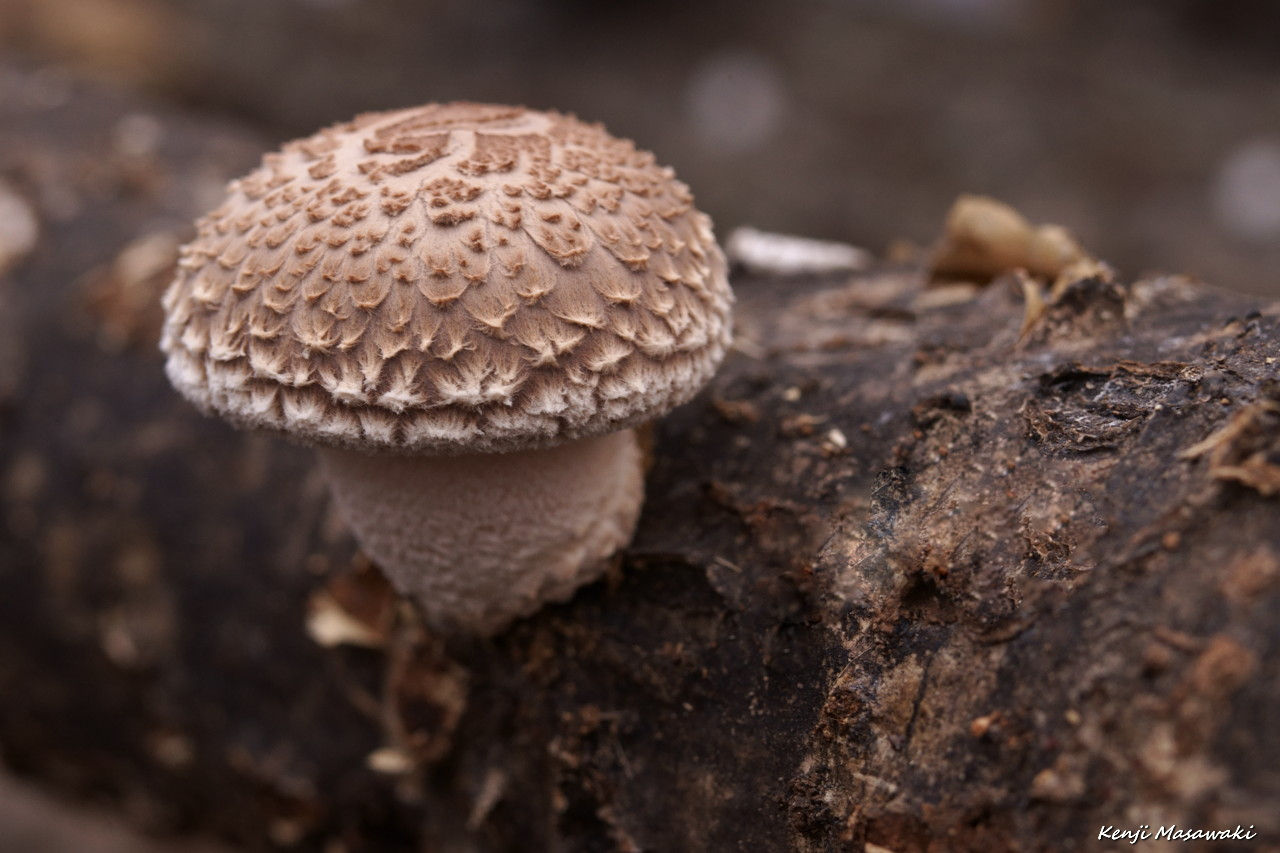3350