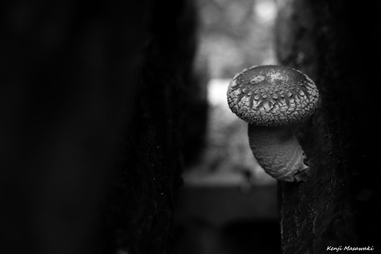 5121