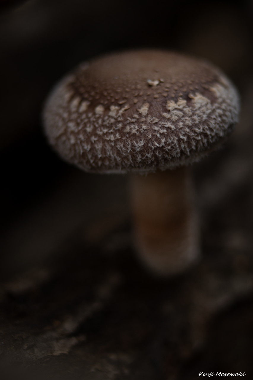 5430