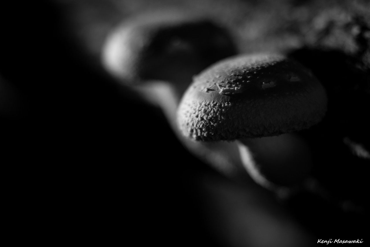 5866