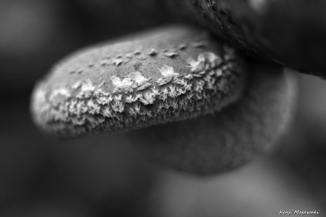 6410