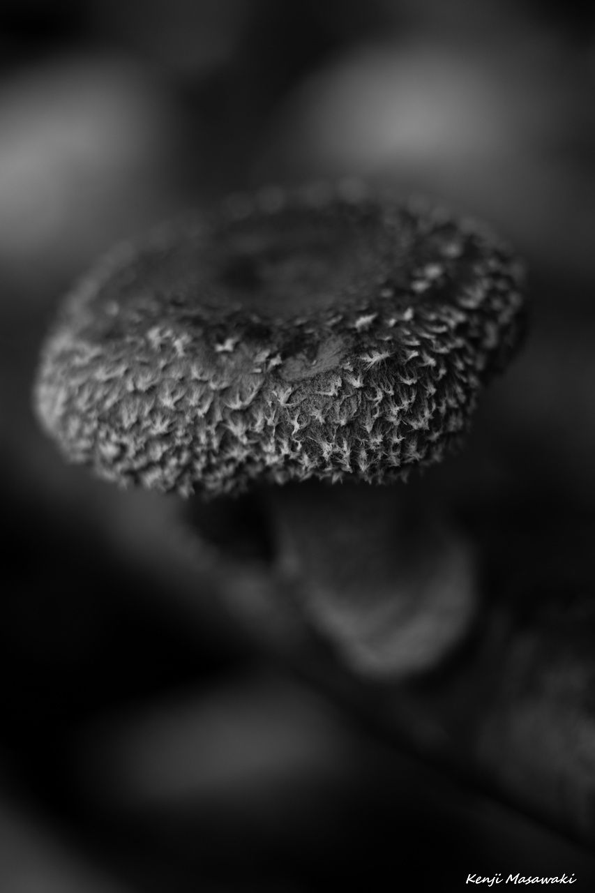 6911