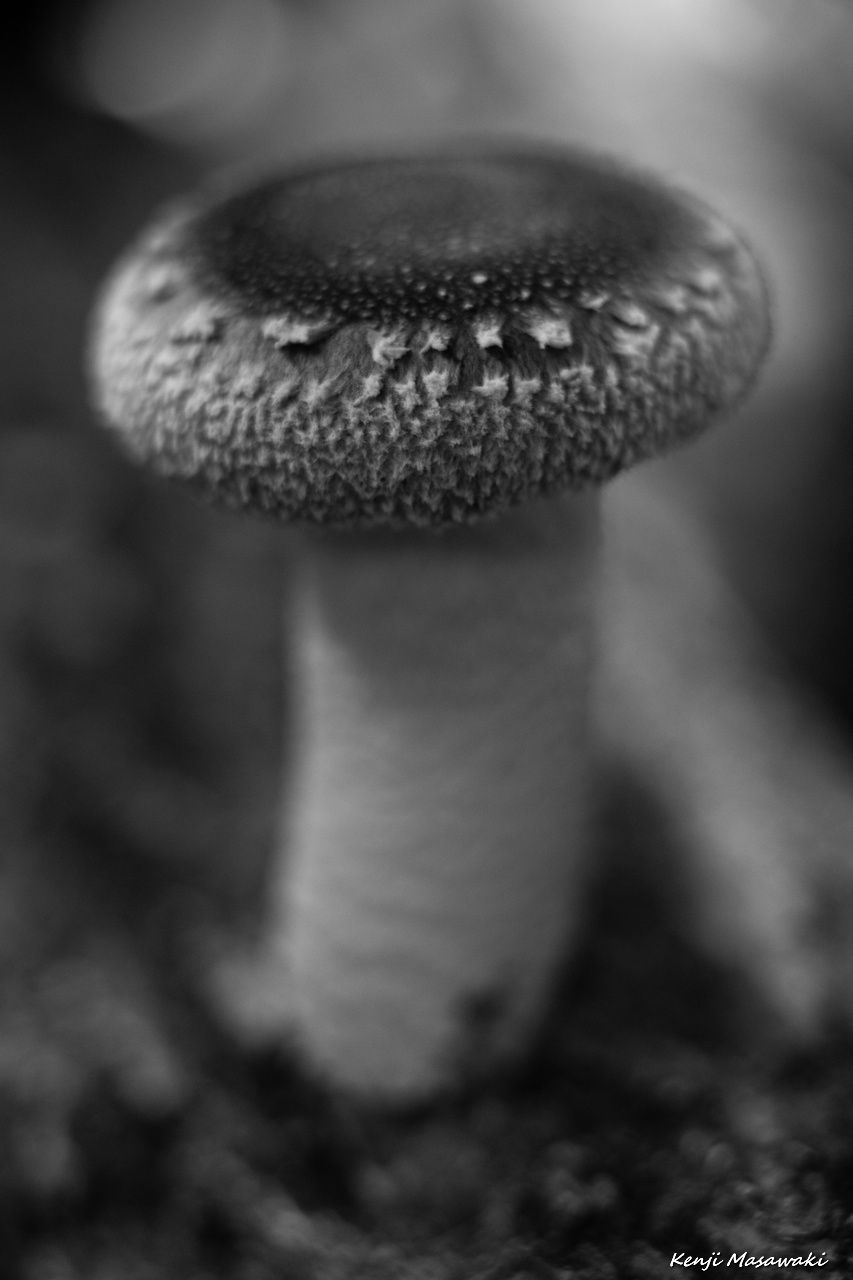 7002