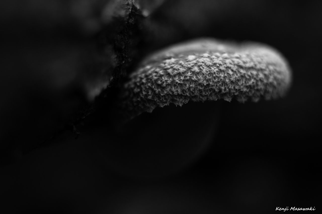 7011