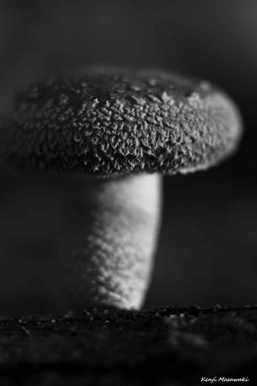 7249