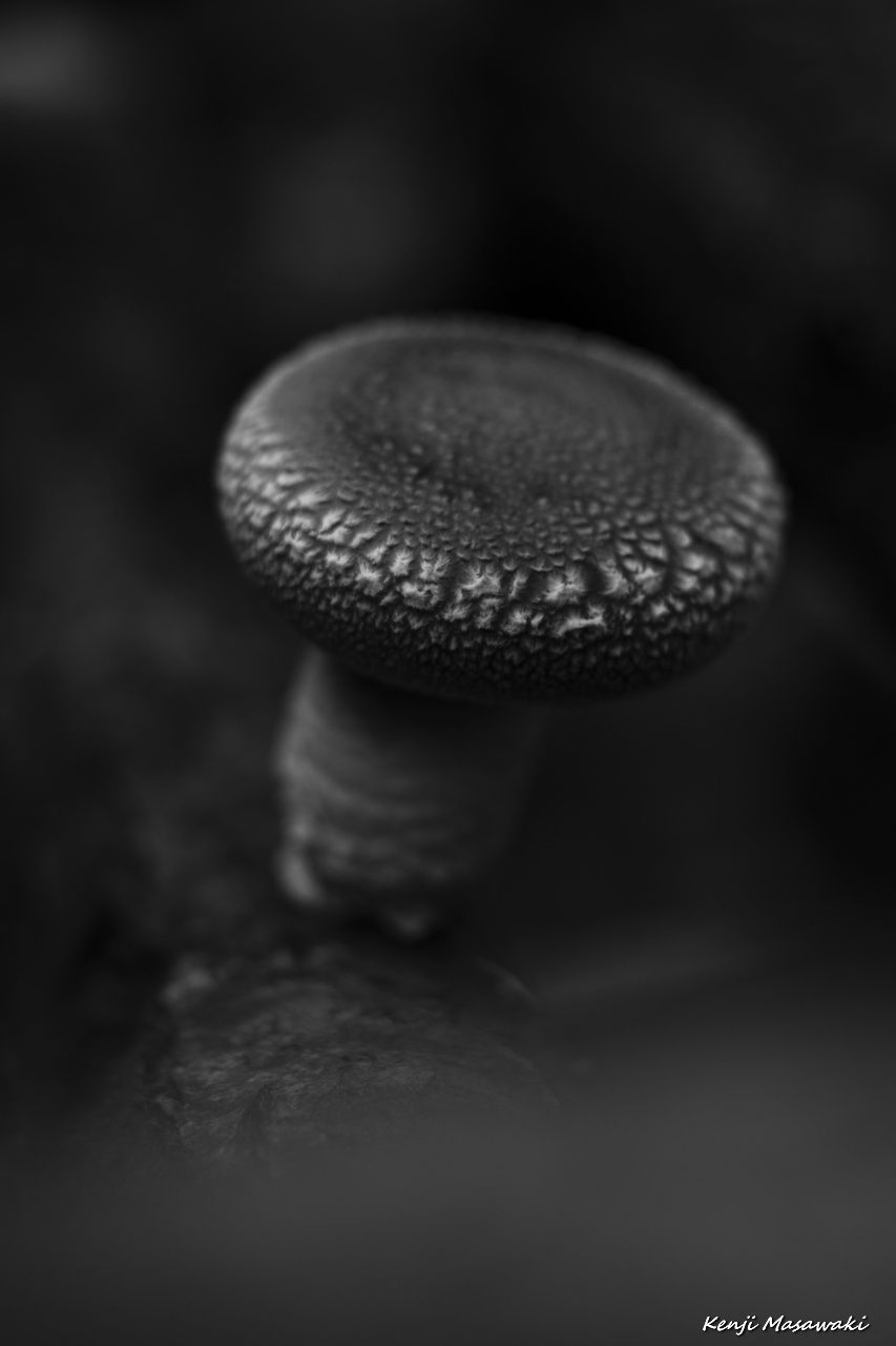 7282