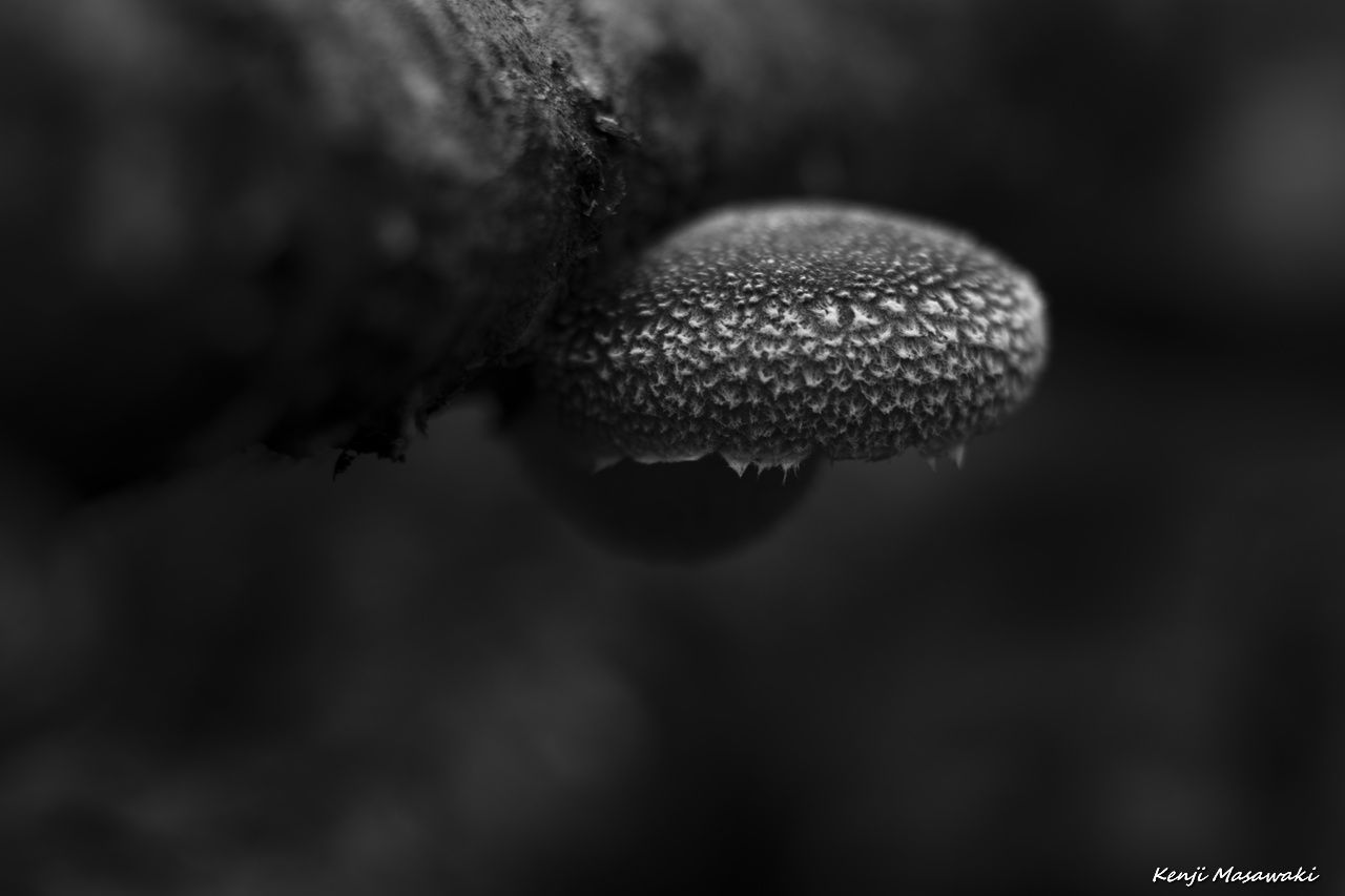 7341