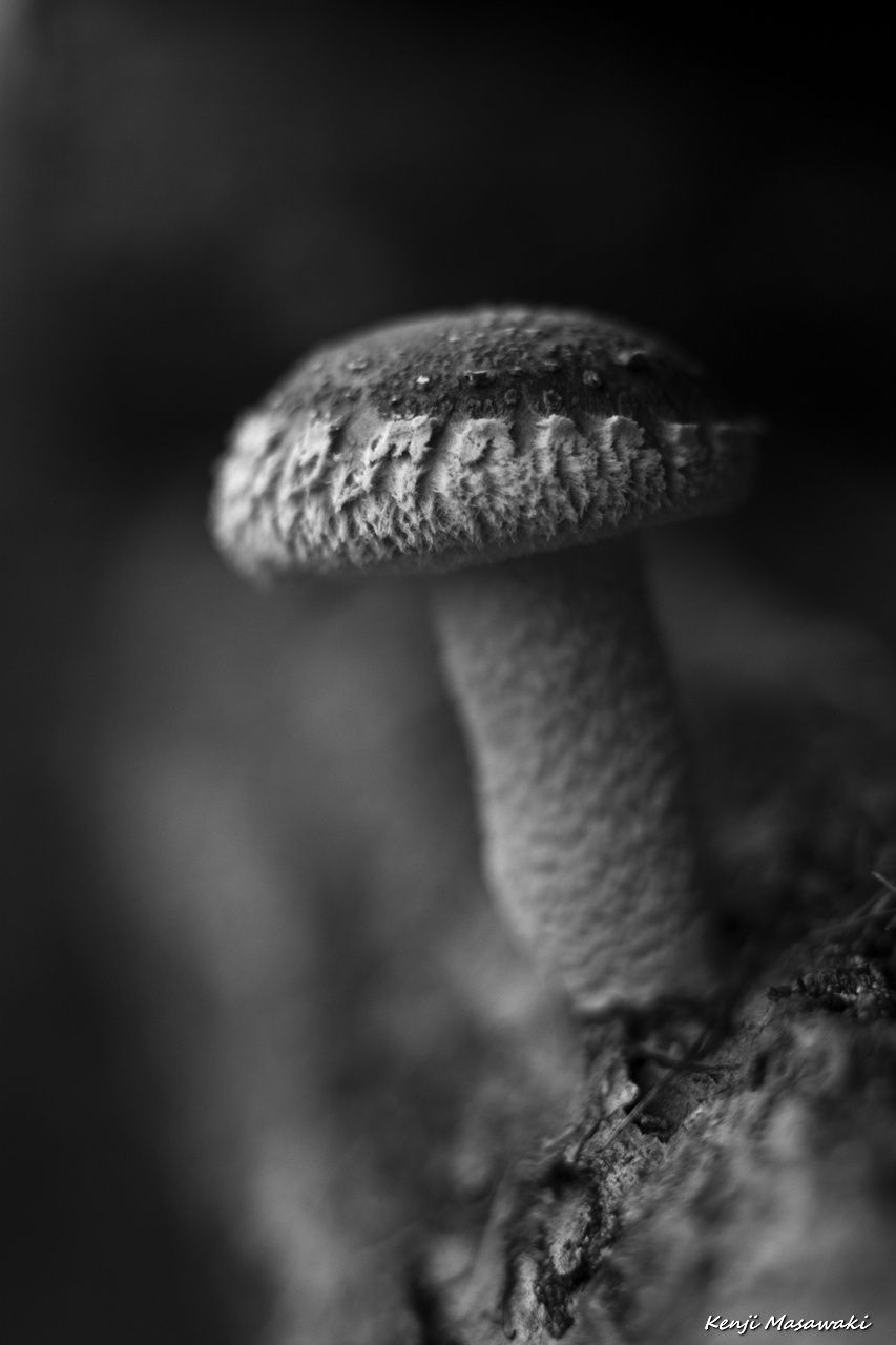 7473