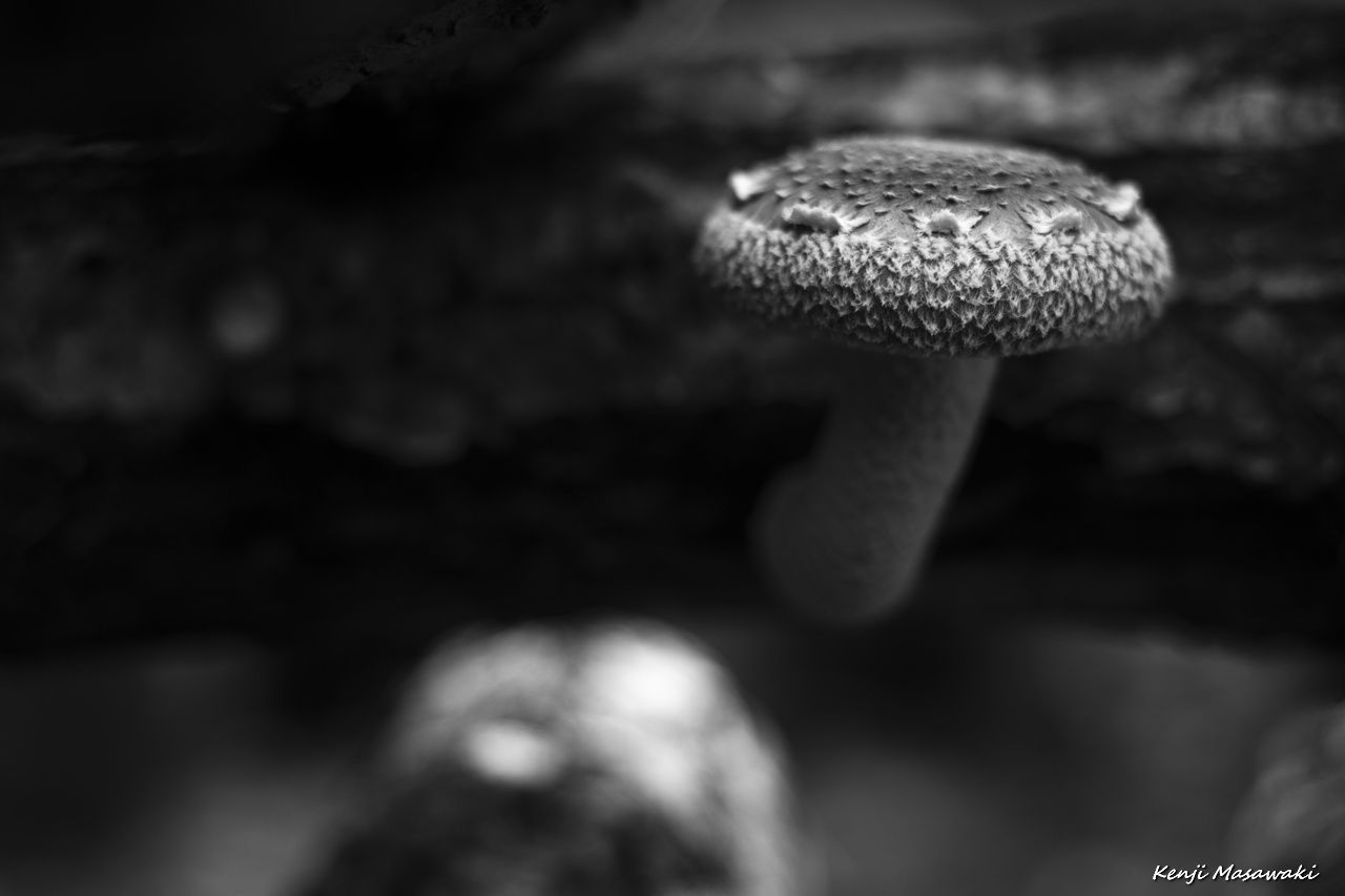 7483