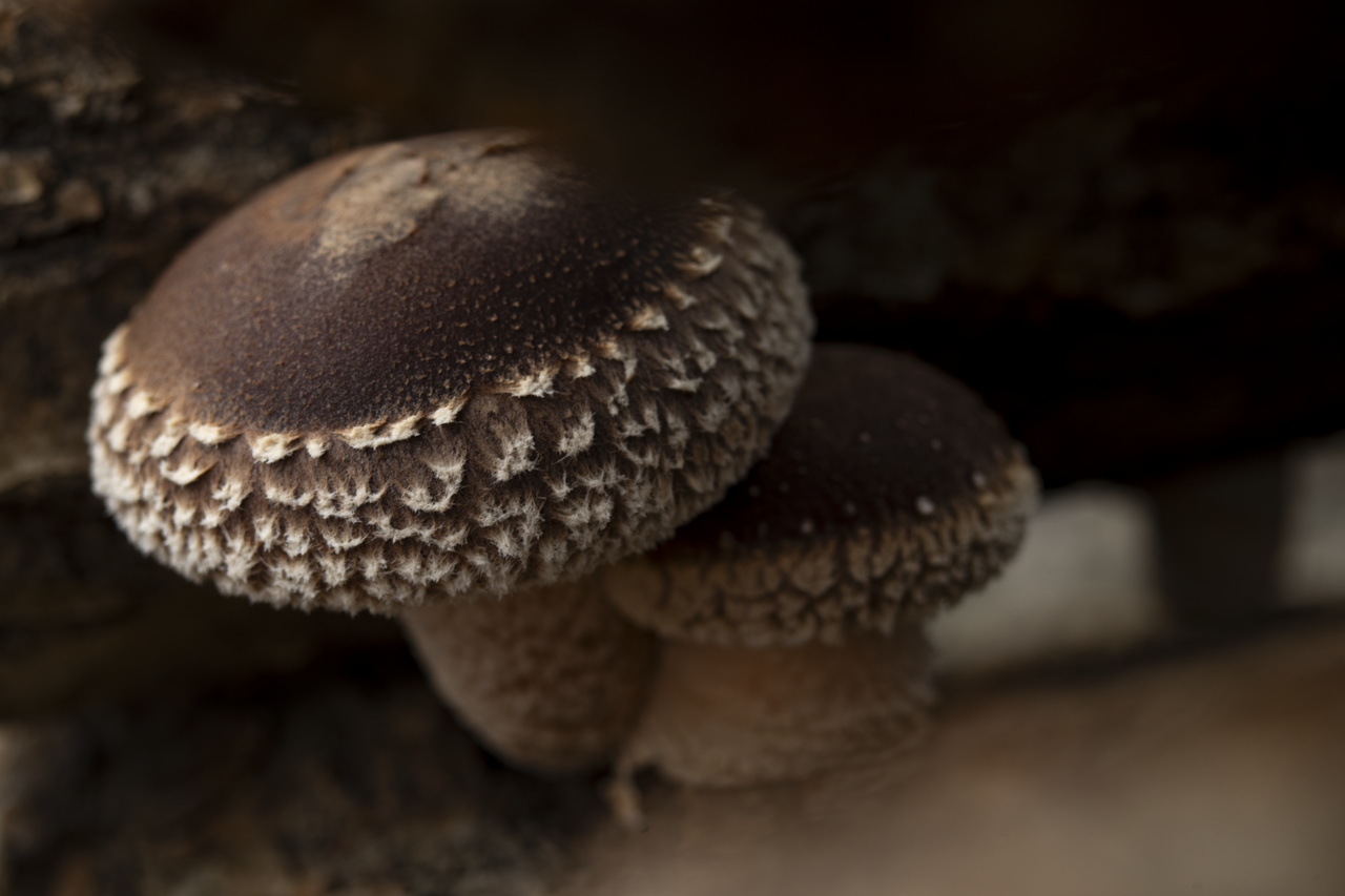 7830
