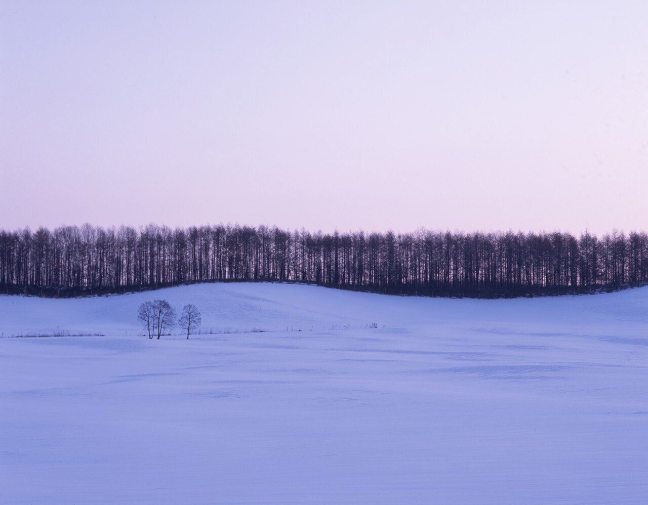 0296-019