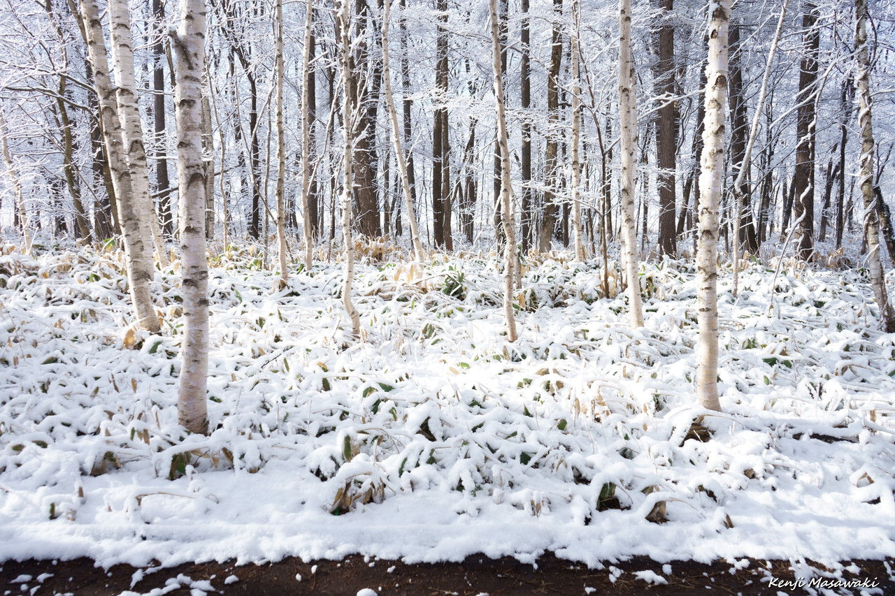 0296-200