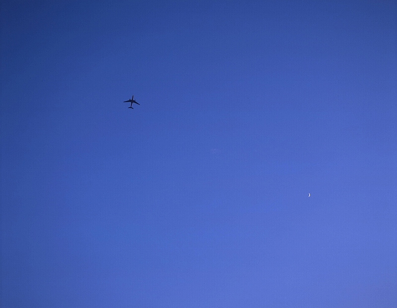 0019