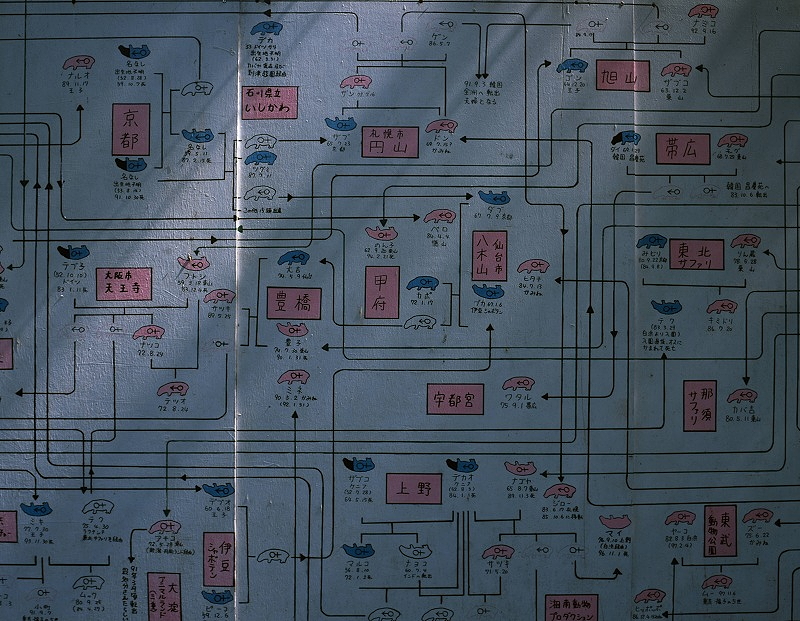 0274