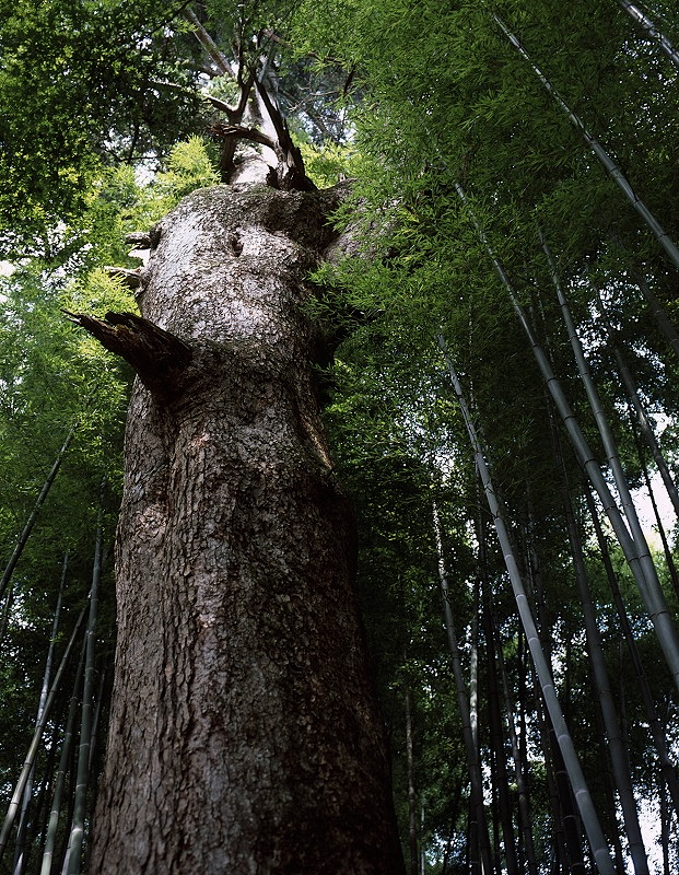 0595