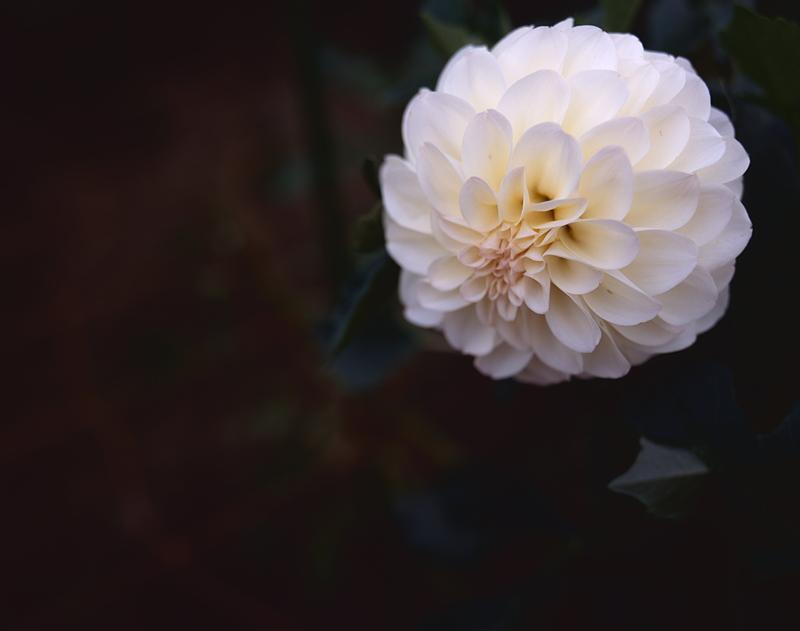 0801