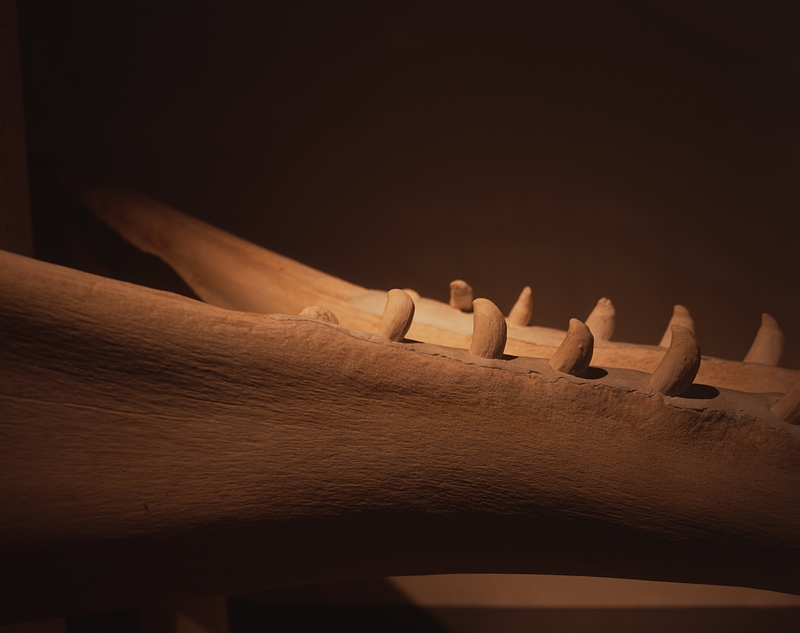 0906