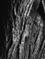 535