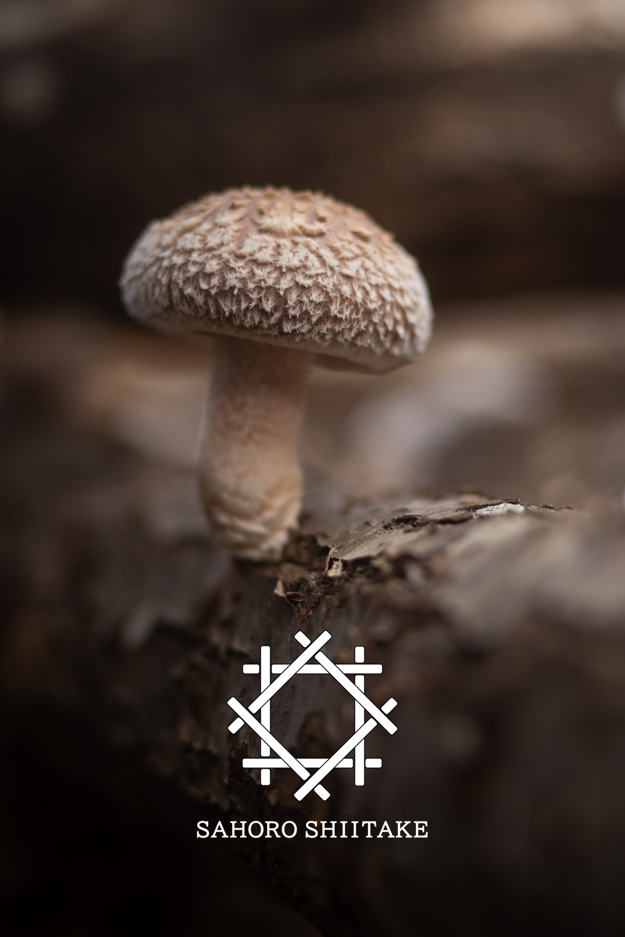 000